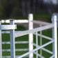 Panel ogrodzeniowy dla baranów | szpilka